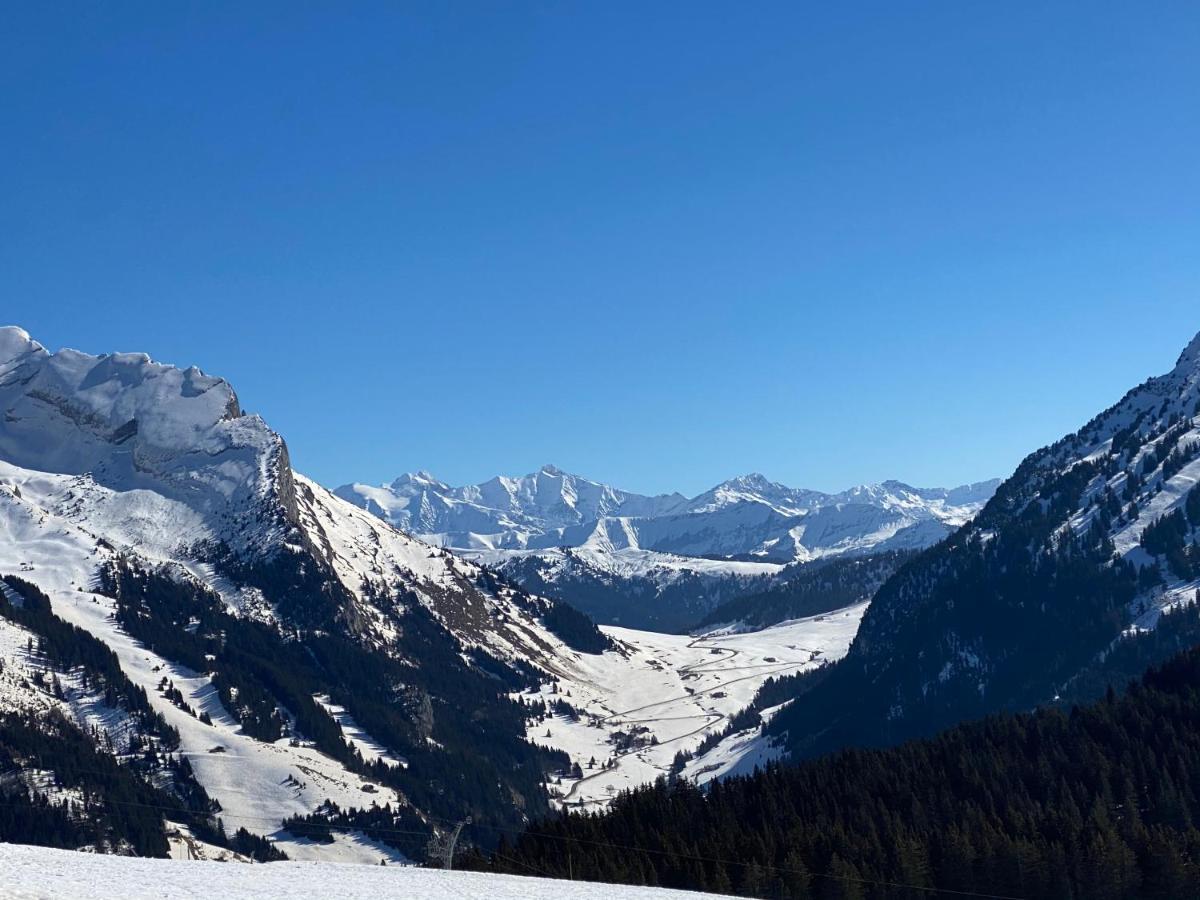Les Bouquetins Daire La Clusaz Dış mekan fotoğraf