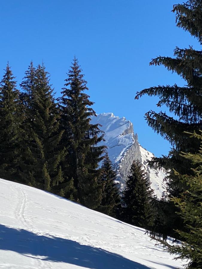 Les Bouquetins Daire La Clusaz Dış mekan fotoğraf
