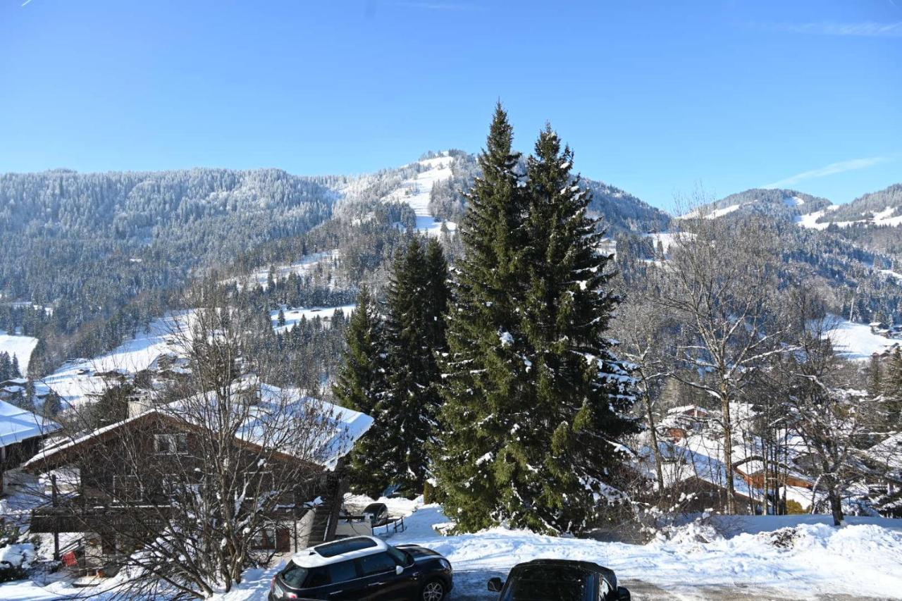 Les Bouquetins Daire La Clusaz Dış mekan fotoğraf