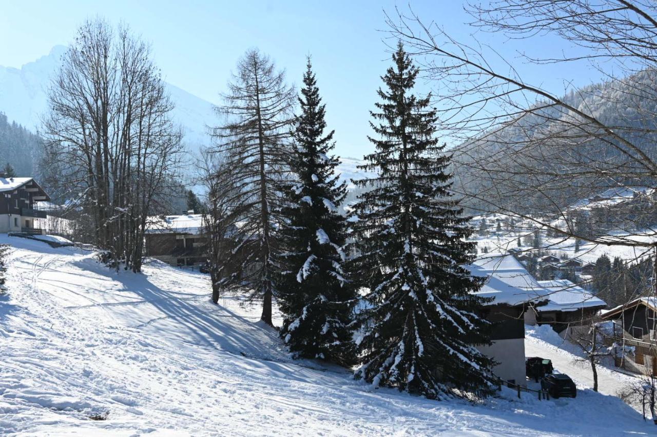 Les Bouquetins Daire La Clusaz Dış mekan fotoğraf