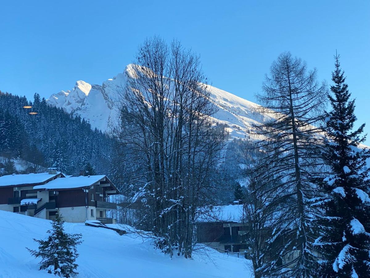 Les Bouquetins Daire La Clusaz Dış mekan fotoğraf