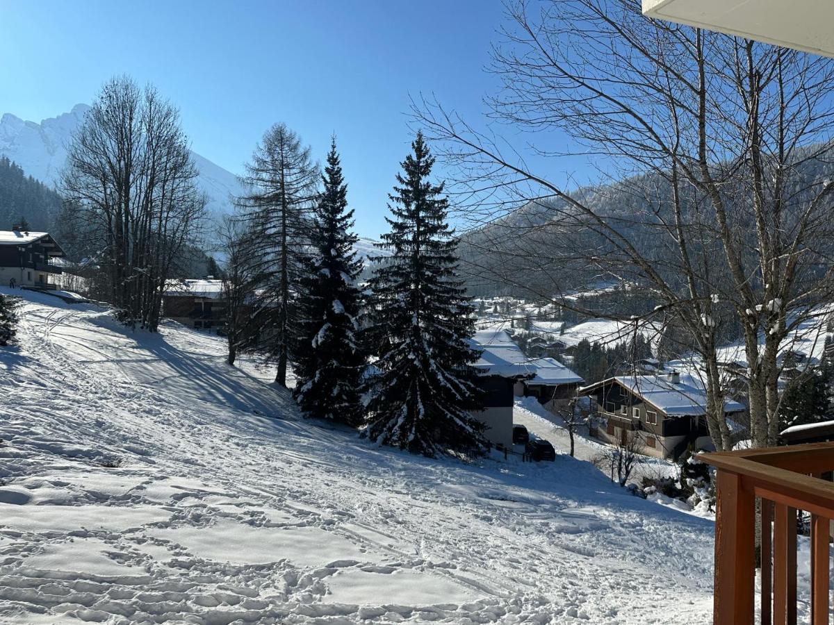 Les Bouquetins Daire La Clusaz Dış mekan fotoğraf